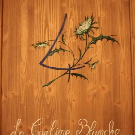 Chardon Bleu Appartement Landry